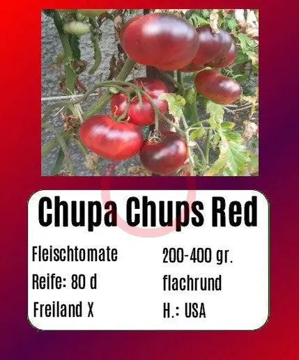 Chupa Chups Red DER TOMATENFLÜSTERER