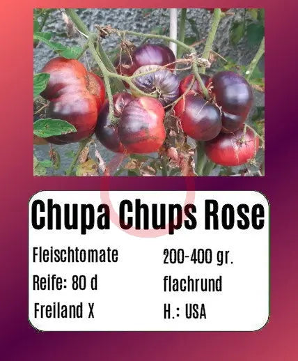 Chupa Chups Rose DER TOMATENFLÜSTERER