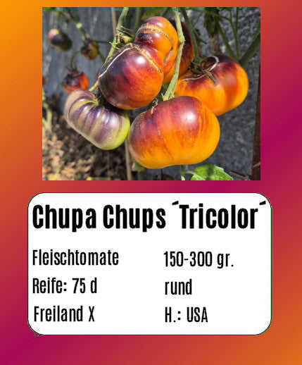 Chupa Chups ´Tricolor´ DER TOMATENFLÜSTERER