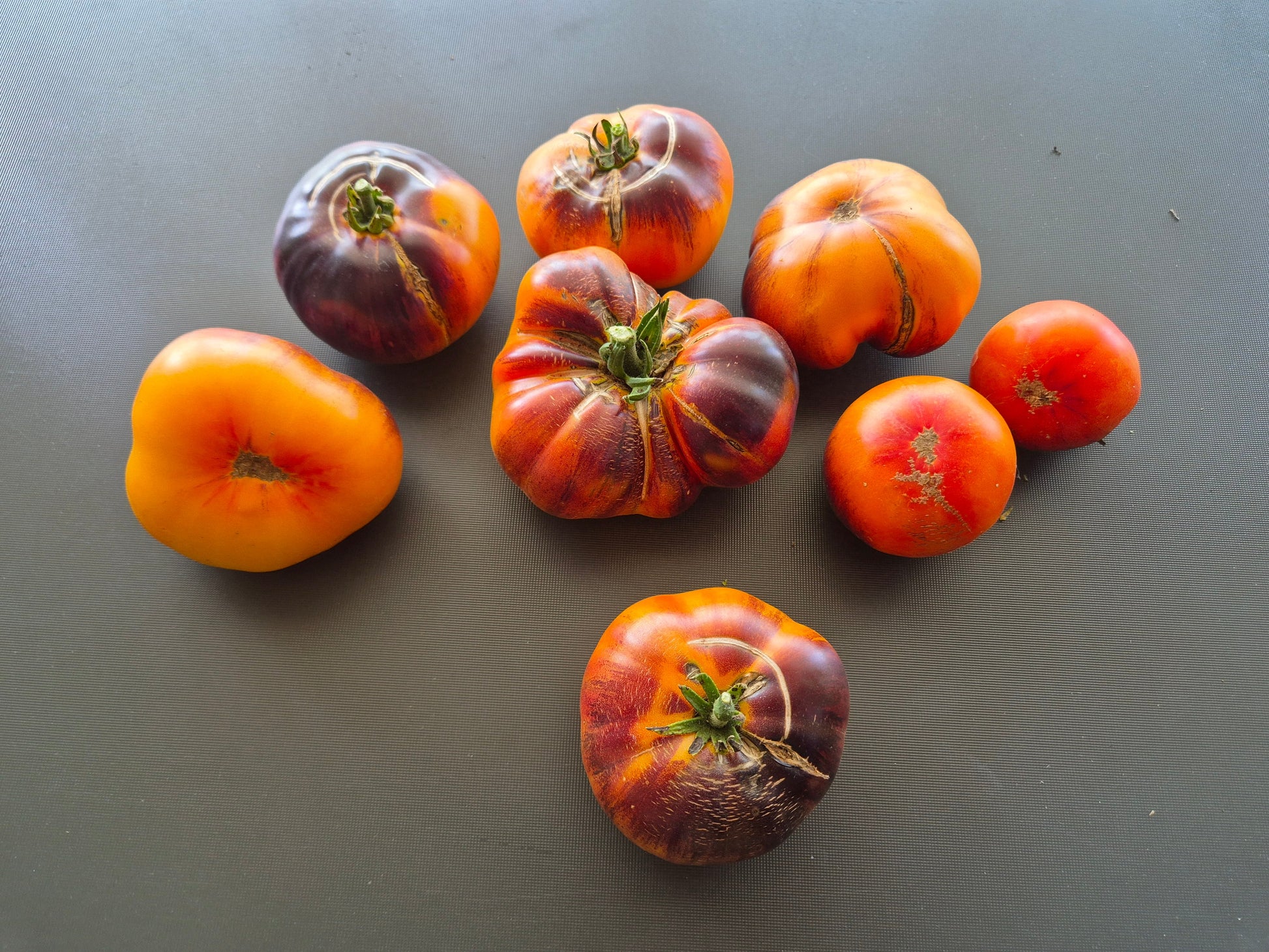 Chupa Chups ´Tricolor´ DER TOMATENFLÜSTERER