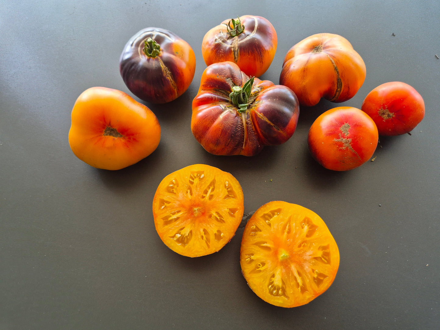 Chupa Chups ´Tricolor´ DER TOMATENFLÜSTERER