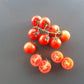 Cieligino d´Ischia DER TOMATENFLÜSTERER