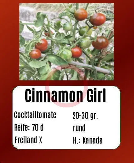 Cinnamon Girl DER TOMATENFLÜSTERER