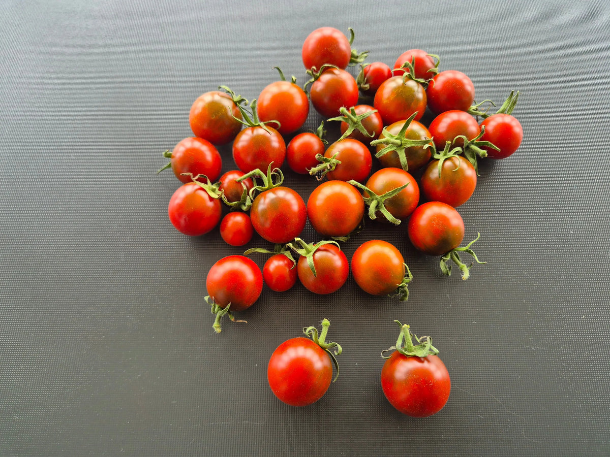 Cinnamon Girl DER TOMATENFLÜSTERER