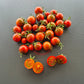 Cinnamon Girl DER TOMATENFLÜSTERER