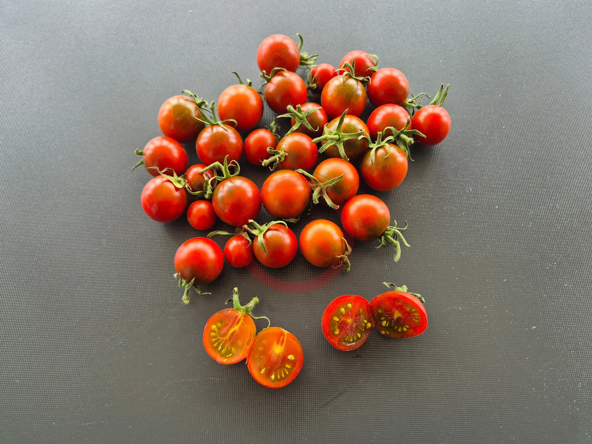 Cinnamon Girl DER TOMATENFLÜSTERER