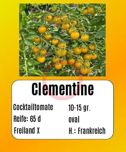 Clementine DER TOMATENFLÜSTERER