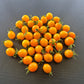 Clementine DER TOMATENFLÜSTERER