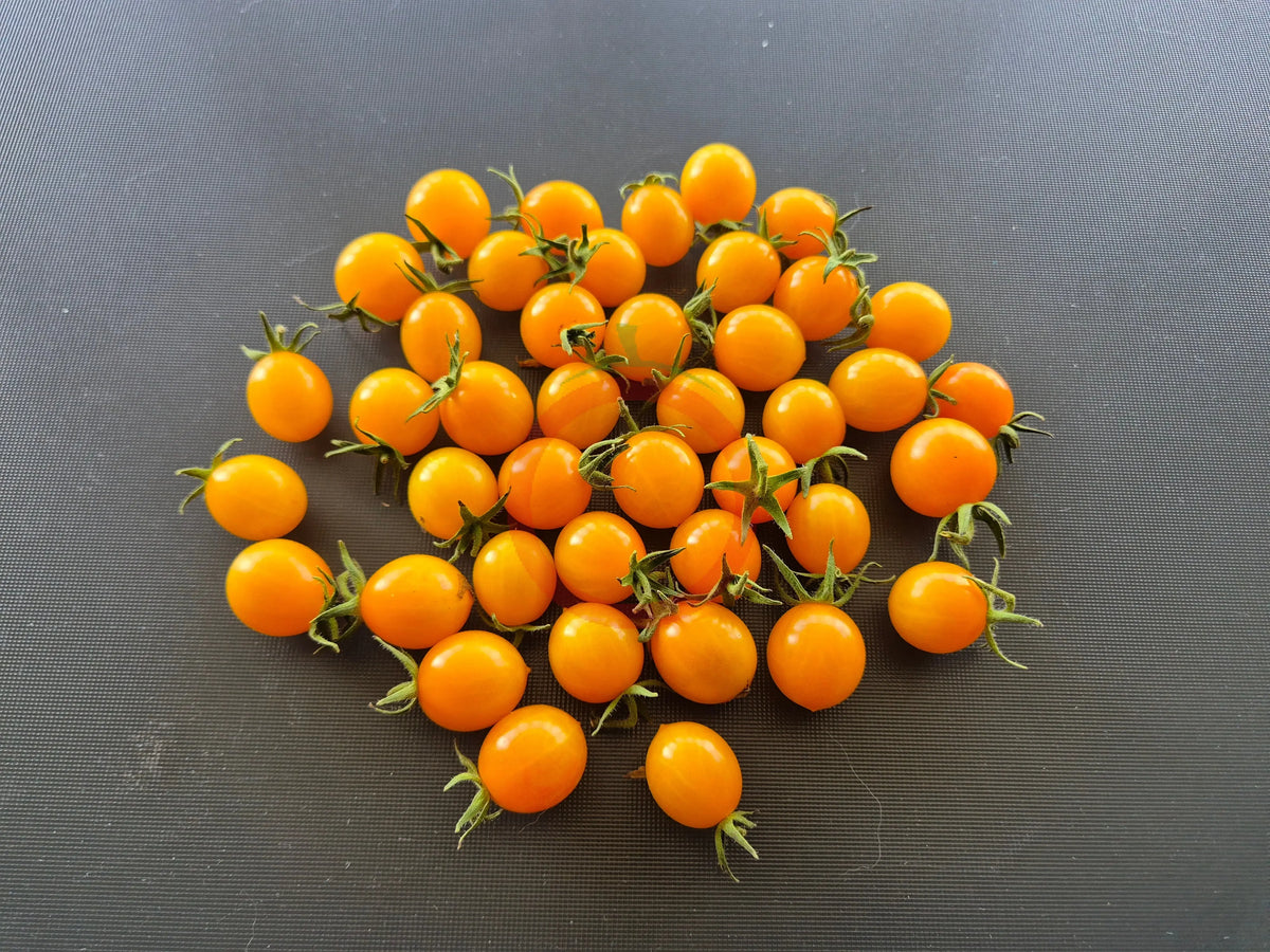 Clementine DER TOMATENFLÜSTERER