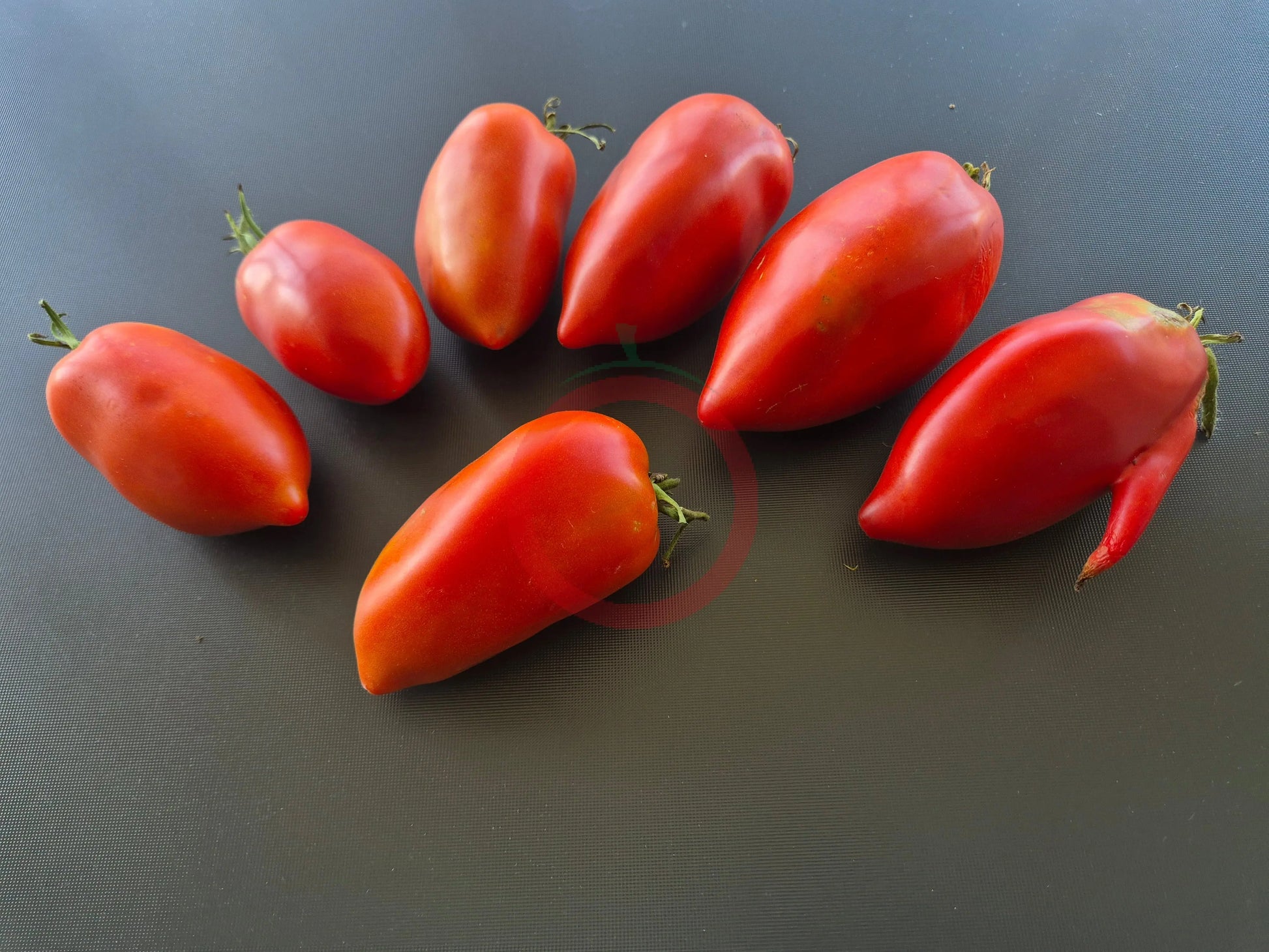 Coeur Fondant DER TOMATENFLÜSTERER