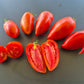 Coeur Fondant DER TOMATENFLÜSTERER