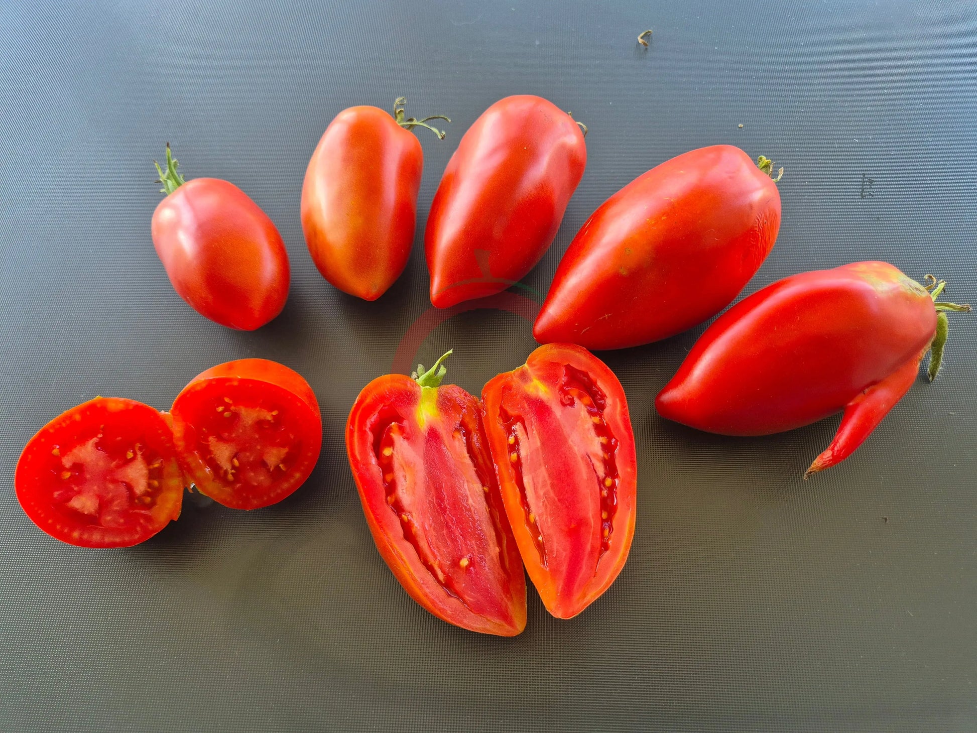 Coeur Fondant DER TOMATENFLÜSTERER