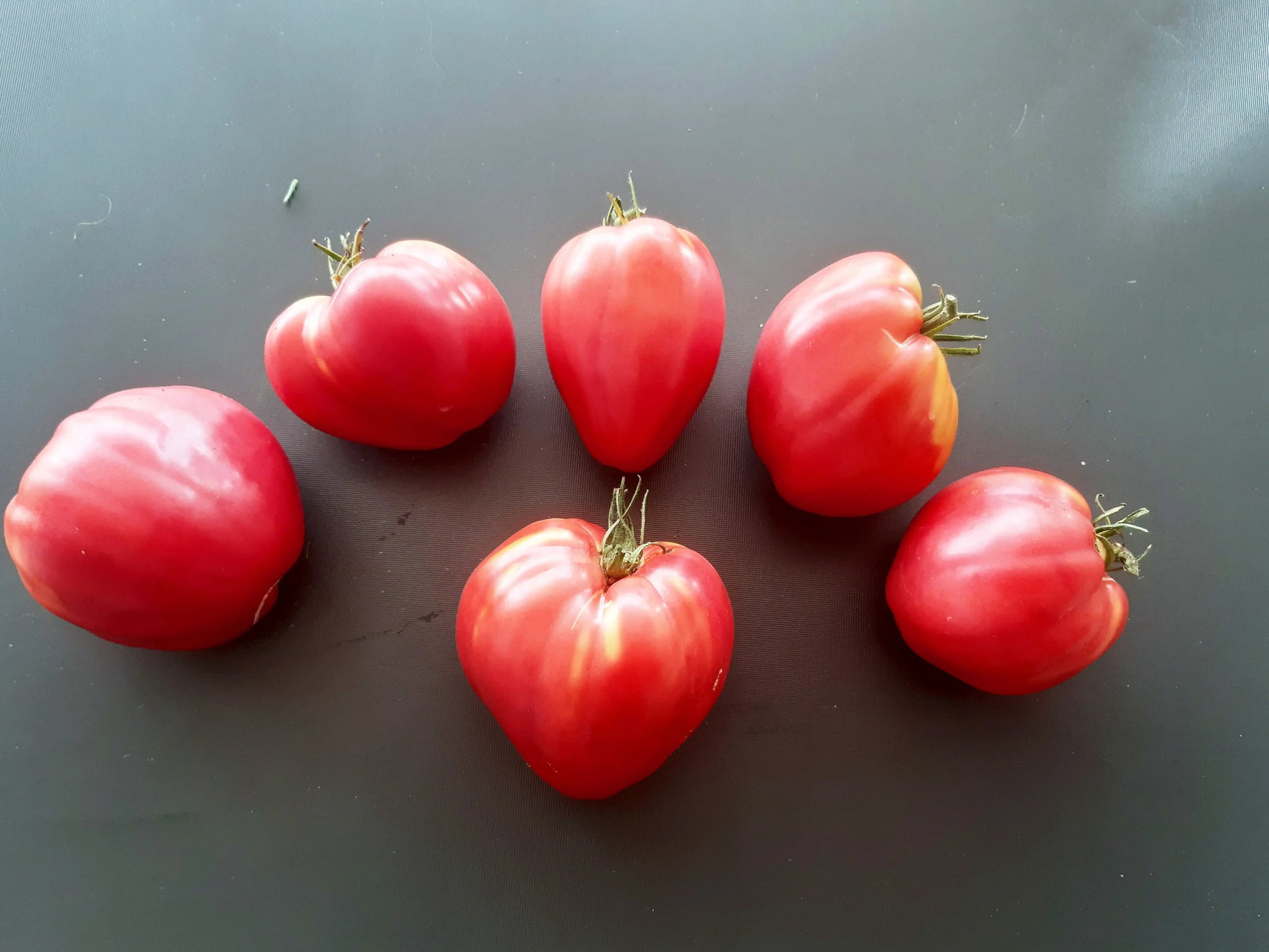 Coeur de Boeuf de Chancy DER TOMATENFLÜSTERER