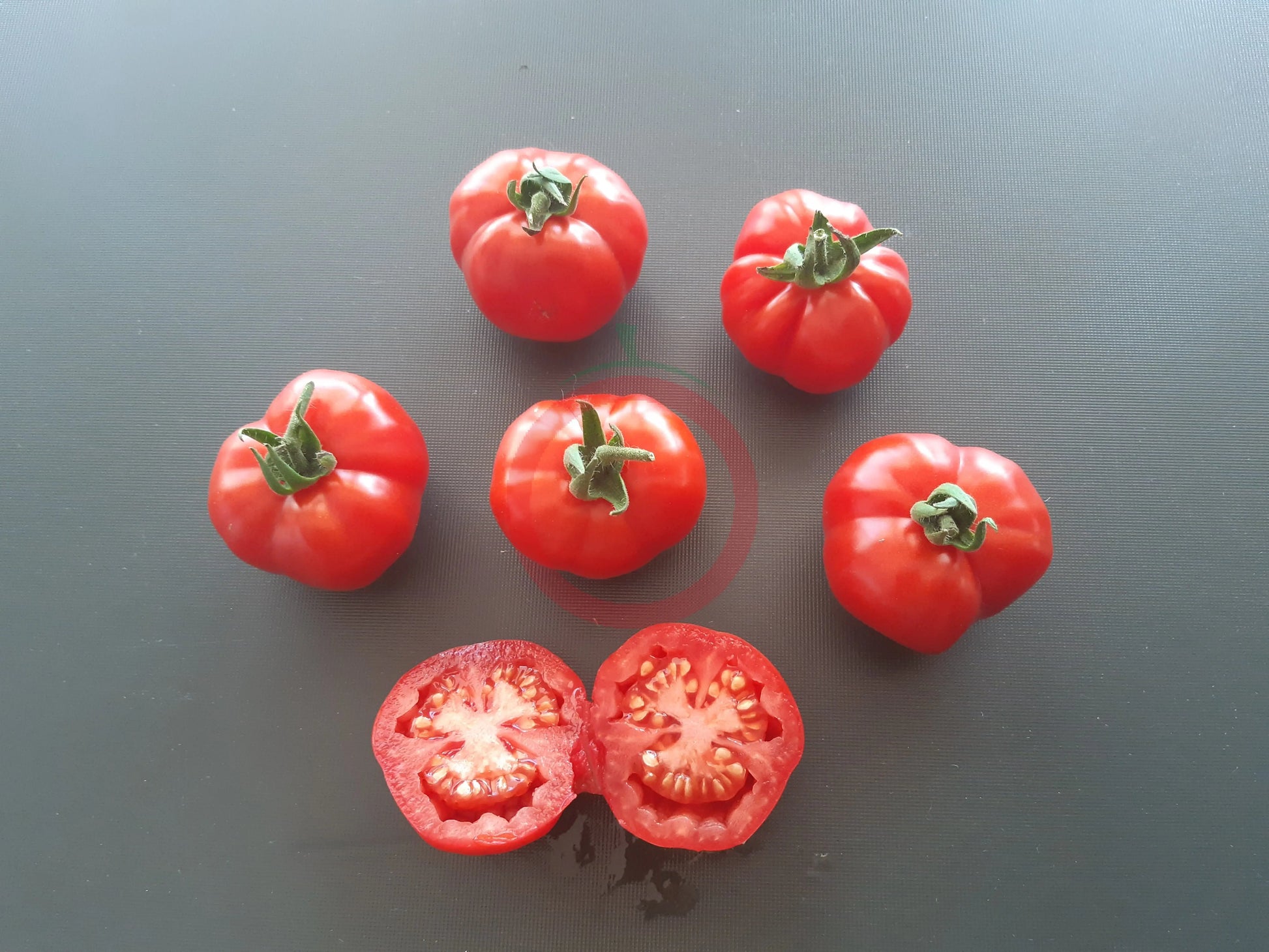 Comasagua DER TOMATENFLÜSTERER