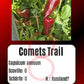 Comets Trail DER TOMATENFLÜSTERER