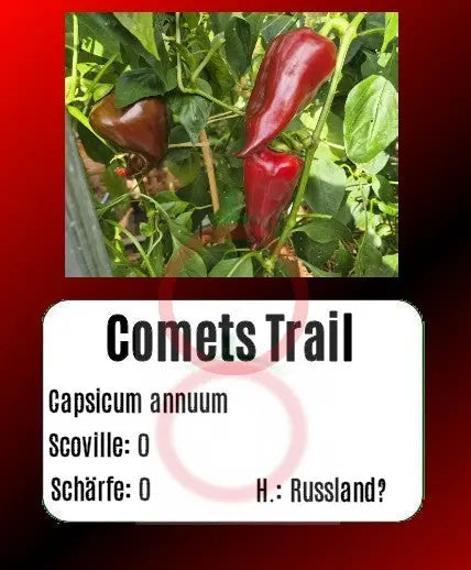 Comets Trail DER TOMATENFLÜSTERER
