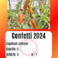 Confetti 2024 DER TOMATENFLÜSTERER