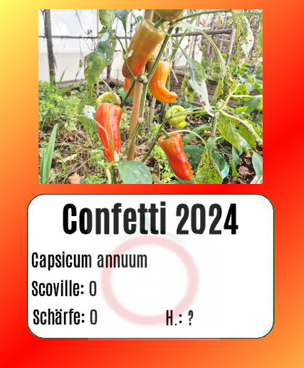 Confetti 2024 DER TOMATENFLÜSTERER