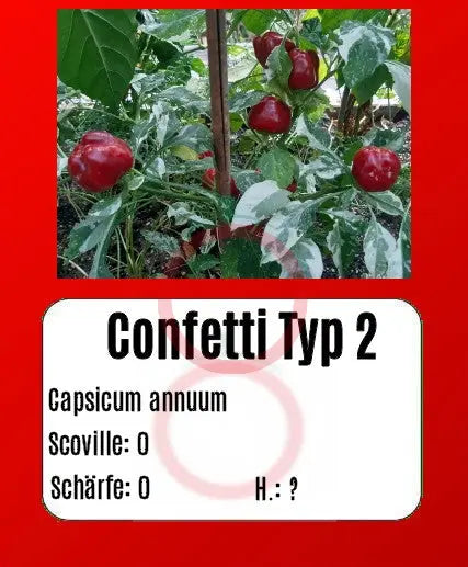 Confetti Typ 2 DER TOMATENFLÜSTERER