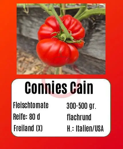 Connies Cain DER TOMATENFLÜSTERER