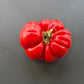 Connies Cain DER TOMATENFLÜSTERER
