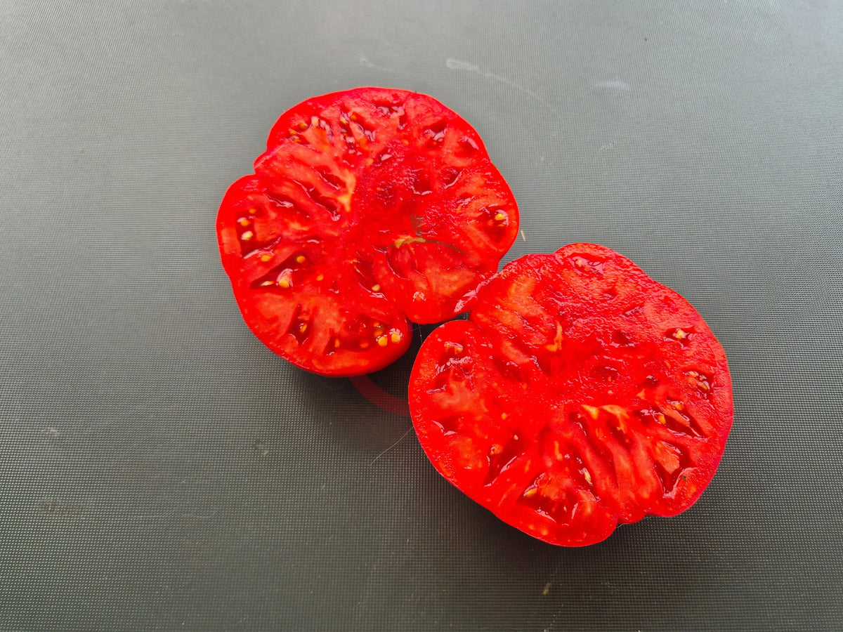 Connies Cain DER TOMATENFLÜSTERER
