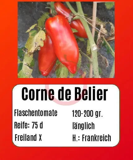 Corne de Belier DER TOMATENFLÜSTERER