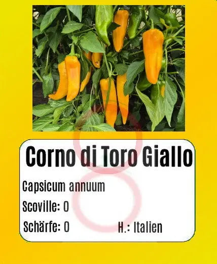 Corno di Toro Giallo DER TOMATENFLÜSTERER