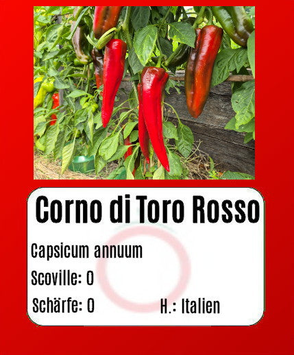 Corno di Toro Rosso DER TOMATENFLÜSTERER