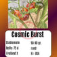 Cosmic Burst DER TOMATENFLÜSTERER