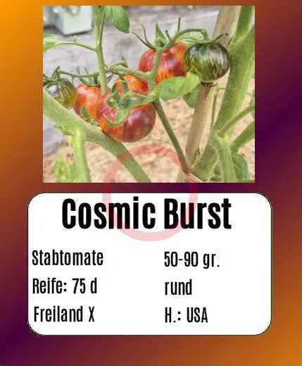 Cosmic Burst DER TOMATENFLÜSTERER