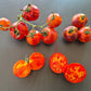 Cosmic Burst DER TOMATENFLÜSTERER