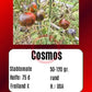 Cosmos DER TOMATENFLÜSTERER