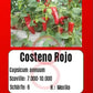 Costeno Rojo DER TOMATENFLÜSTERER