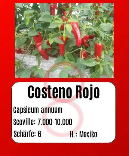 Costeno Rojo DER TOMATENFLÜSTERER