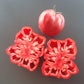 Costoluto Colli Euganei DER TOMATENFLÜSTERER