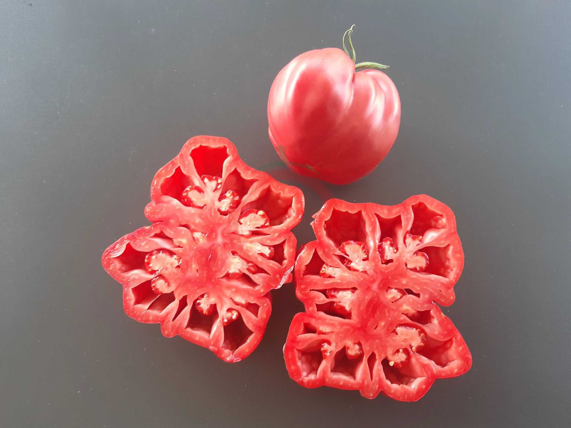 Costoluto Colli Euganei DER TOMATENFLÜSTERER