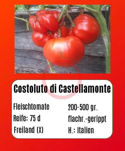 Costoluto di Castellamonte DER TOMATENFLÜSTERER