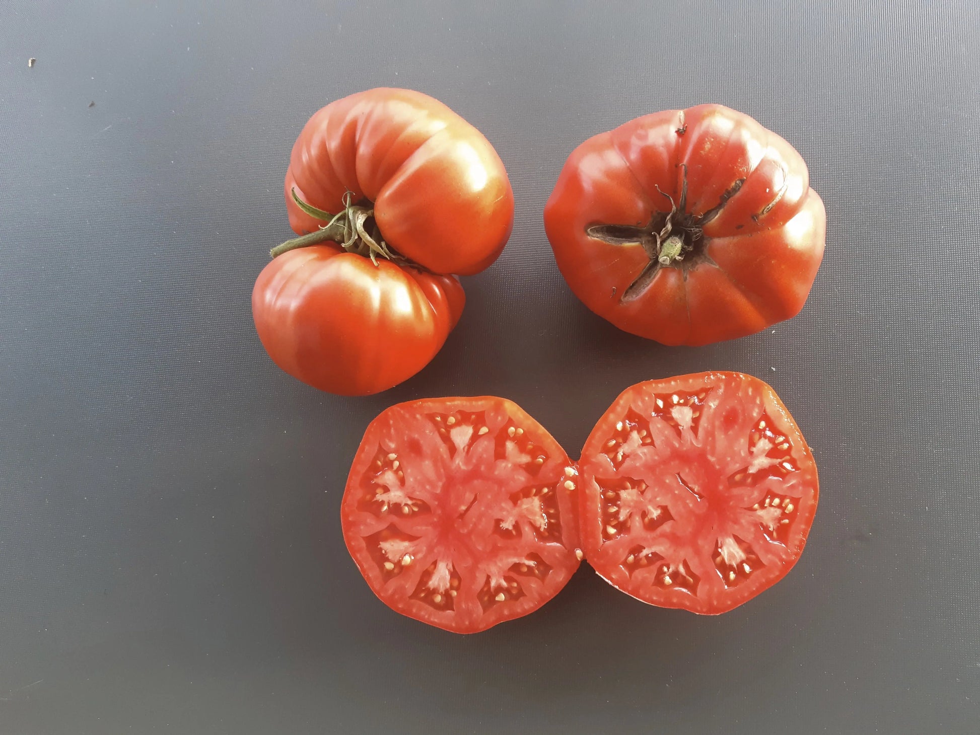 Costoluto di Castellamonte DER TOMATENFLÜSTERER