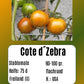 Cote d´Zebra DER TOMATENFLÜSTERER