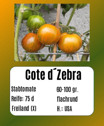 Cote d´Zebra DER TOMATENFLÜSTERER