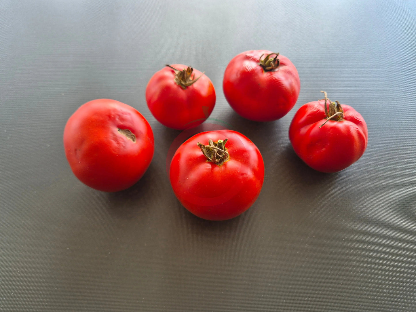 Couille De Taureau DER TOMATENFLÜSTERER