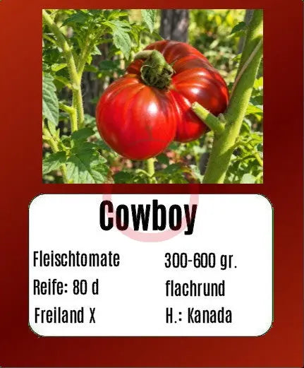 Cowboy DER TOMATENFLÜSTERER