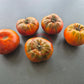 Cowboy DER TOMATENFLÜSTERER