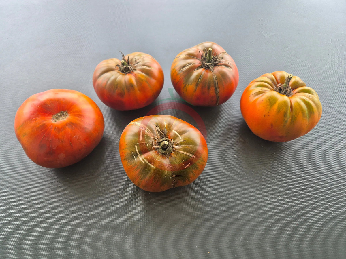 Cowboy DER TOMATENFLÜSTERER
