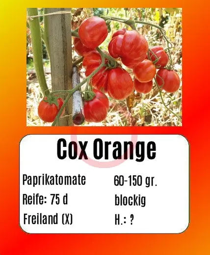 Cox Orange DER TOMATENFLÜSTERER