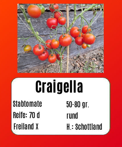 Craigella DER TOMATENFLÜSTERER
