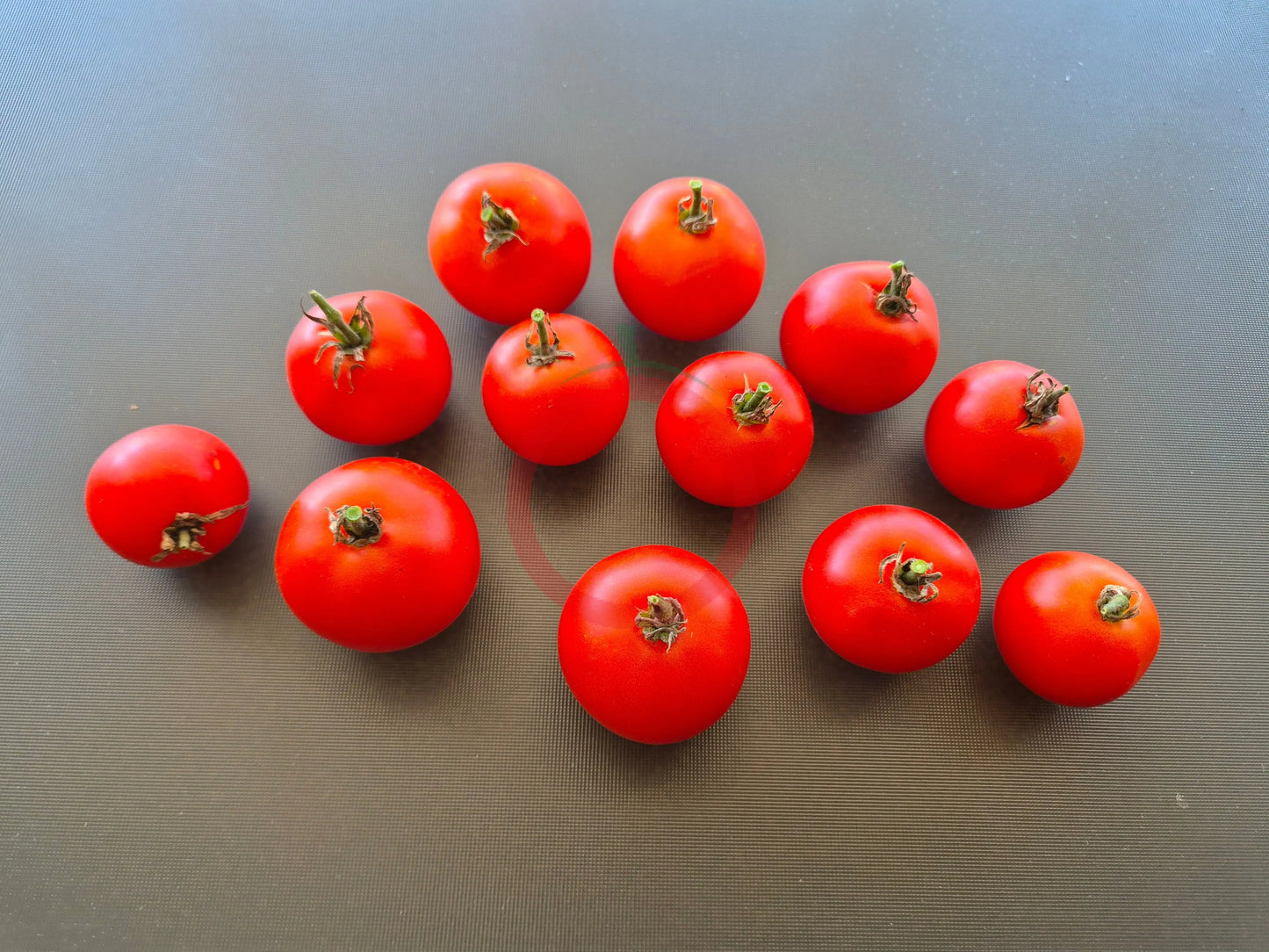 Craigella DER TOMATENFLÜSTERER