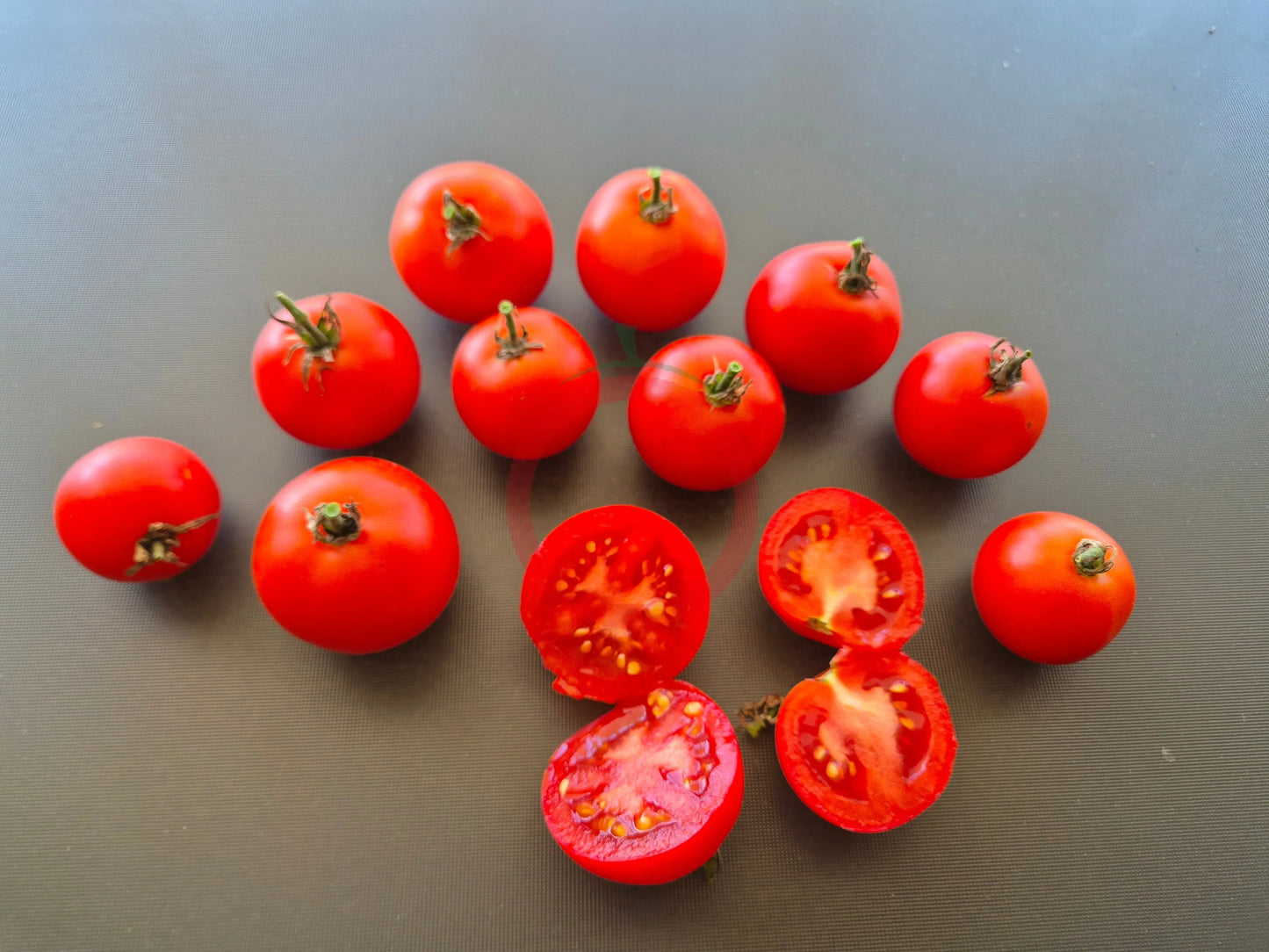 Craigella DER TOMATENFLÜSTERER