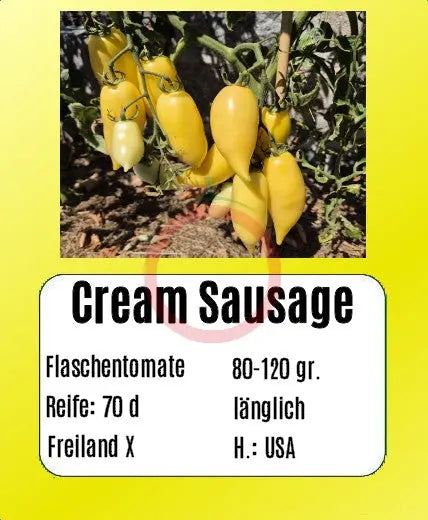 Cream Sausage DER TOMATENFLÜSTERER